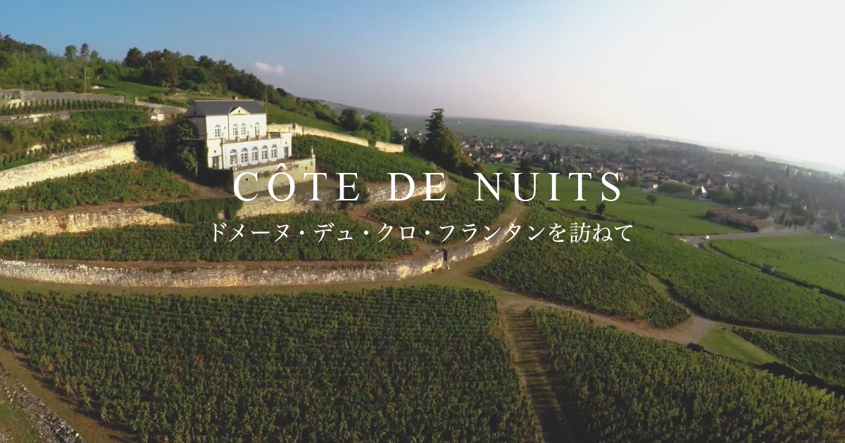 ドメーヌ デュ クロ フランタン リシュブール グランクリュ07年 送料無料】グロ・フレール・エ・スールリシュブール[2021