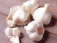 ニンニク
