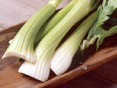セロリ