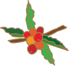 乾燥コーヒーチェリー