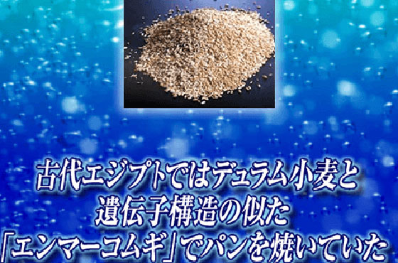 パストゥール　ビールの研究 ヨドバシ.com - パストゥール ビールの研究 [単行本] 通販【全品
