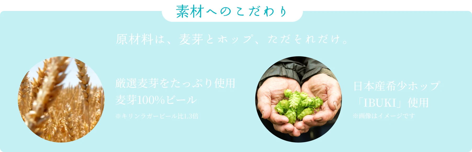 素材へのこだわり 原材料、麦芽とホップ、ただそれだけ 厳選麦芽をたっぷり使用麦芽100%ビール 国産希少ホップIBUKI使用