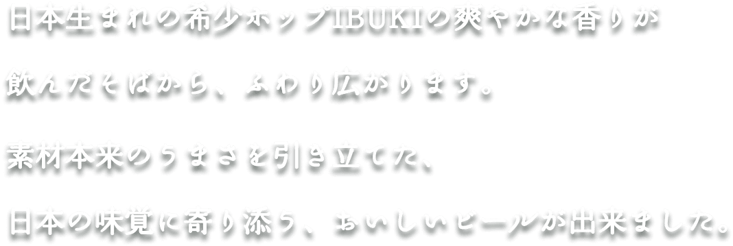 日本生まれの希少ホップIBUKIの爽やかな香りが飲んだそばから、ふわり広がります。素材本来のうまさを引き立てた、日本の味覚に寄り添う、おいしいビールが出来ました。