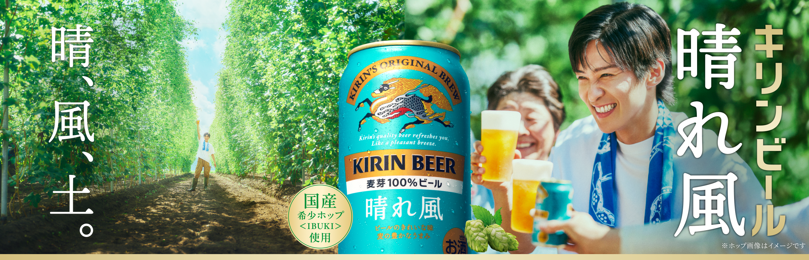 キリンビール 晴れ風｜ビール・発泡酒・新ジャンル｜キリン