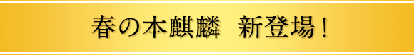 春の本麒麟  新登場！