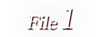 File 1