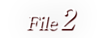 File 2