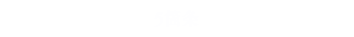 5箇条