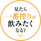 見たら一番搾りが飲みたくなる?