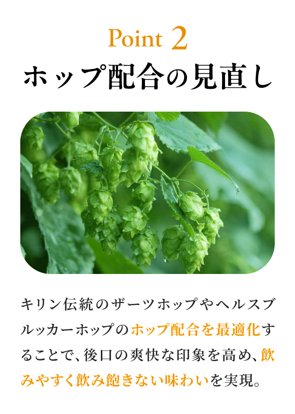 Point 2 ホップ配合の見直し キリン伝統のザーツホップやヘルスブルッカーホップのホップ配合を最適化することで、後口の爽快な印象を高め、飲みやすく飲み飽きない味わいを実現。