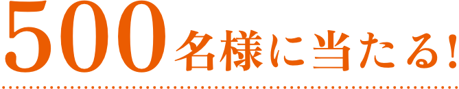 500名様に当たる!