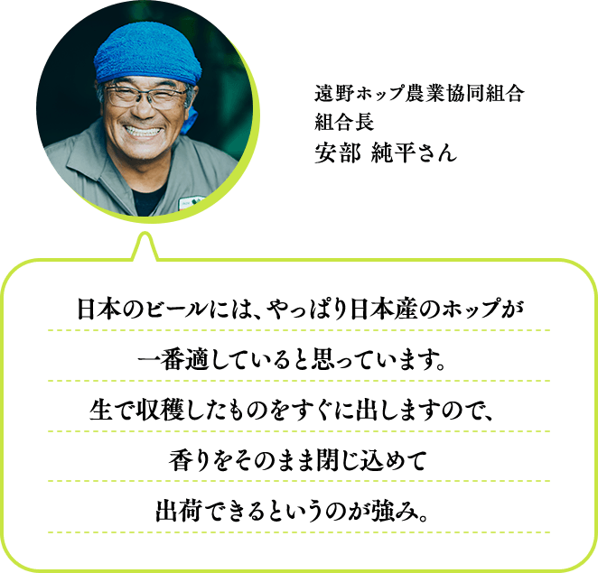 遠野ホップ農業協同組合 組合長 安部 純平さん 日本のビールには、やっぱり日本産のホップが一番適していると思っています。 生で収穫したものをすぐに出しますので、香りをそのまま閉じ込めて出荷できるというのが強み。