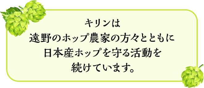 キリンは遠野のホップ農家の方々とともに日本産ホップを守る活動を続けています。 