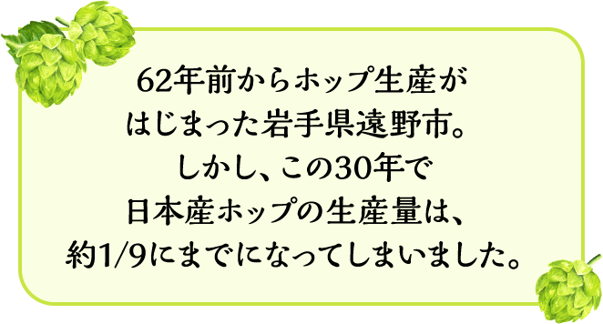 62年前からホップ生産がはじまった岩手県遠野市。しかし、この30年で日本産ホップの生産量は、約1/9にまでになってしまいました。