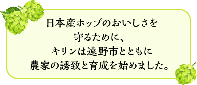 日本産ホップのおいしさを守るために、キリンは遠野市とともに農家の誘致と育成を始めました。