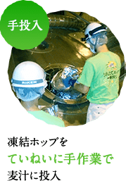手投入 凍結ホップをていねいに手作業で麦汁に投入
