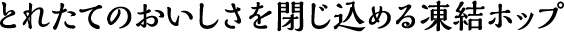 とれたてのおいしさを閉じ込める凍結ホップ