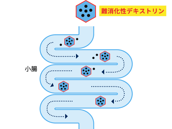 難消化性デキストリンがある場合の消化・吸収のイメージ図