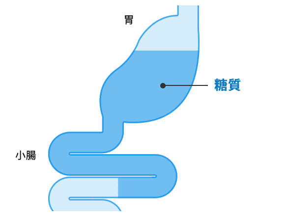 通常の消化・吸収のイメージ図