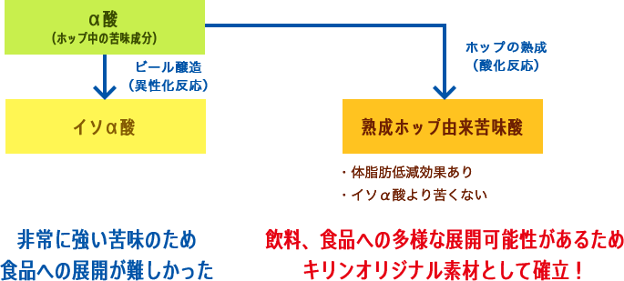 図2　ホップ中の苦味成分と熟成によるメリット
