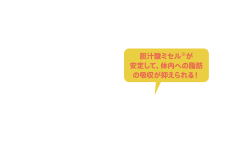 胆汁酸ミセルが安定して、体内への脂肪の吸収が抑えられる！