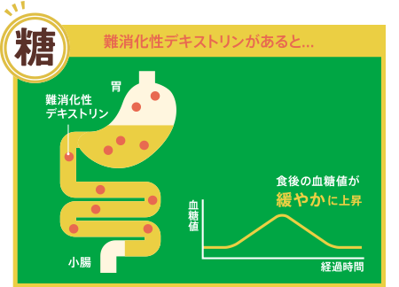 難消化性デキストリンがあると・・・