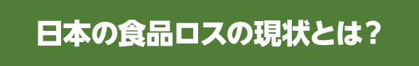 日本の食品ロスの現状とは？