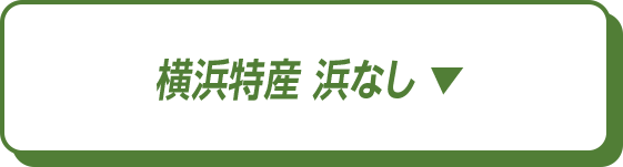 横浜特産 浜なし
