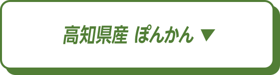 高知県産 ぽんかん