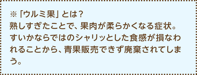 ※「ウルミ果」とは？熟しすぎたことで、果肉が柔らかくなる症状。すいかならではのシャリッとした食感が損なわれることから、青果販売できず廃棄されてしまう。