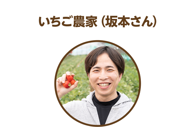 いちご農家（坂本さん）