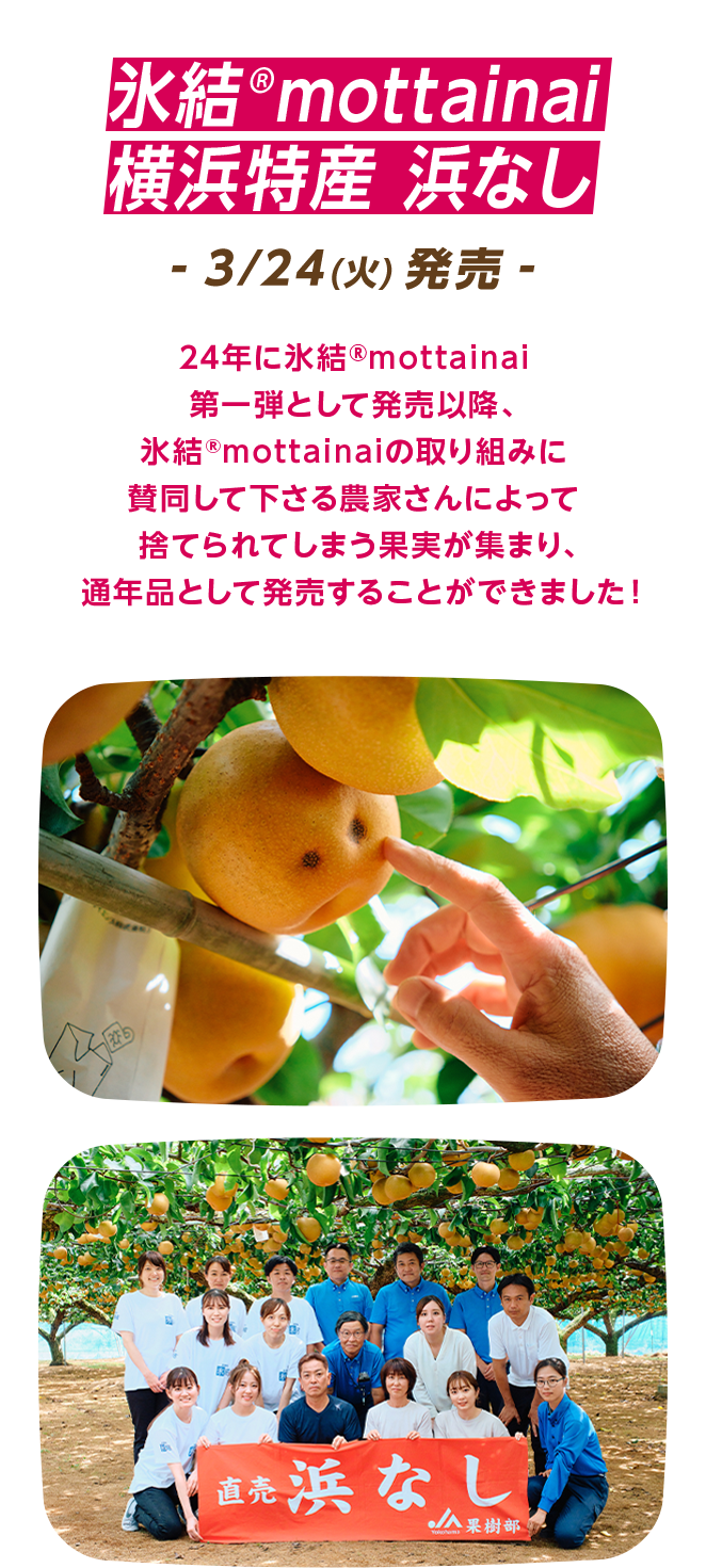 氷結®mottainai 横浜特産 浜なし -3/24（火）発売- 24年に氷結®mottainai第一弾として発売以降、氷結®mottainaiの取り組みに賛同して下さる農家さんによって捨てられてしまう果実が集まり、通年品として発売することができました！