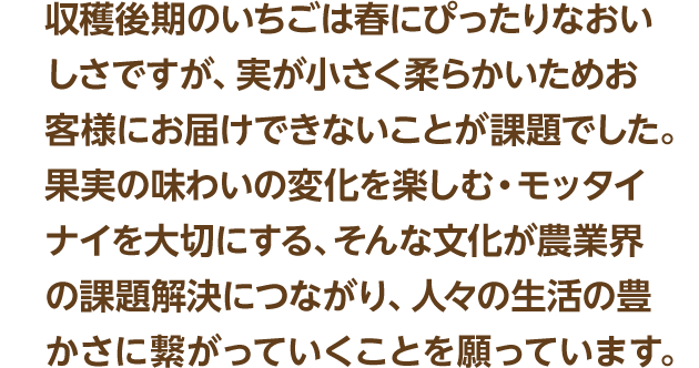 収穫後期のいちごは春にぴったりなおいしさですが、実が小さく柔らかいためお客様にお届けできないことが課題でした。果実の味わいの変化を楽しむ・モッタイナイを大切にする、そんな文化が農業界の課題解決につながり、人々の生活の豊かさに繋がっていくことを願っています。