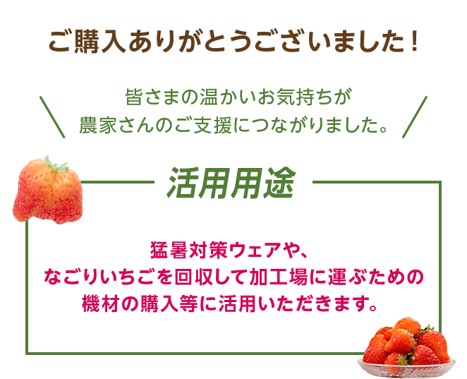 ご購入ありがとうございました！ 皆さまの温かいお気持ちが農家さんのご支援につながりました。 活用用途 猛暑対策ウェアや、なごりいちごを回収して加工場に運ぶための機材の購入等に活用いただきます。