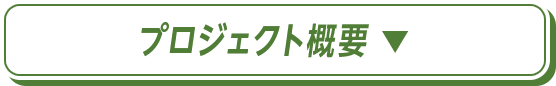 プロジェクト概要