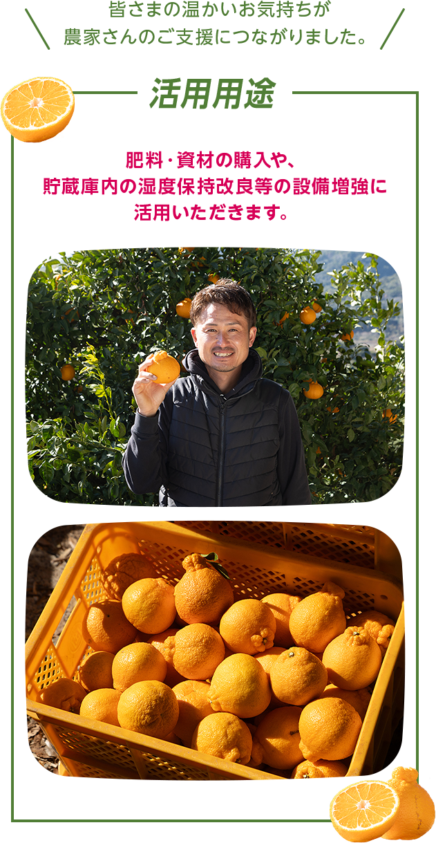 皆さまの温かいお気持ちが農家さんのご支援につながりました。 活用用途  肥料・資材の購入や、貯蔵庫内の湿度保持改良等の設備増強に活用いただきます。