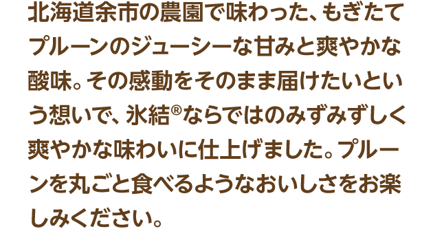 北海道余市の農園で味わった、もぎたてプルーンのジューシーな甘みと爽やかな酸味。その感動をそのまま届けたいという想いで、氷結®ならではのみずみずしく爽やかな味わいに仕上げました。プルーンを丸ごと食べるようなおいしさをお楽しみください。