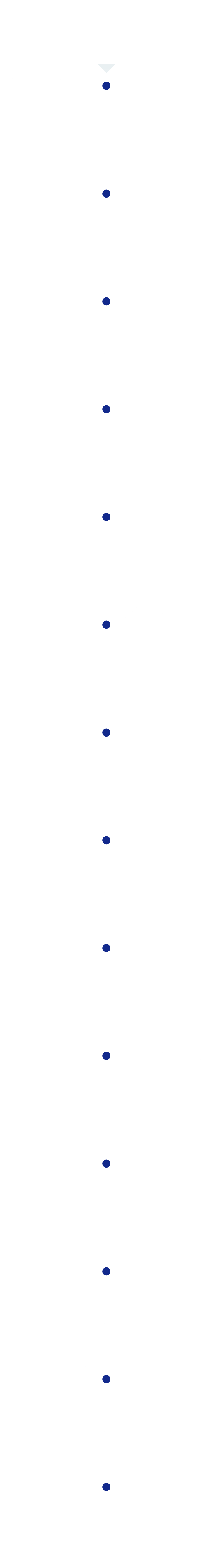 年表 2001 2010 2020 2024