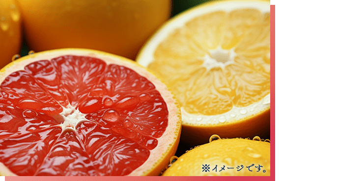 ※イメージです。