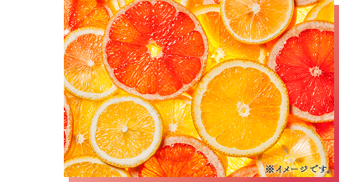 ※イメージです。