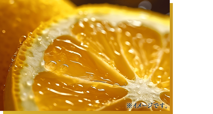 ※イメージです。