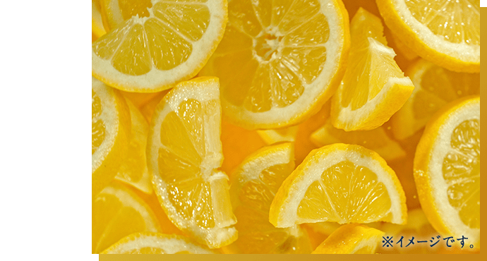 ※イメージです。