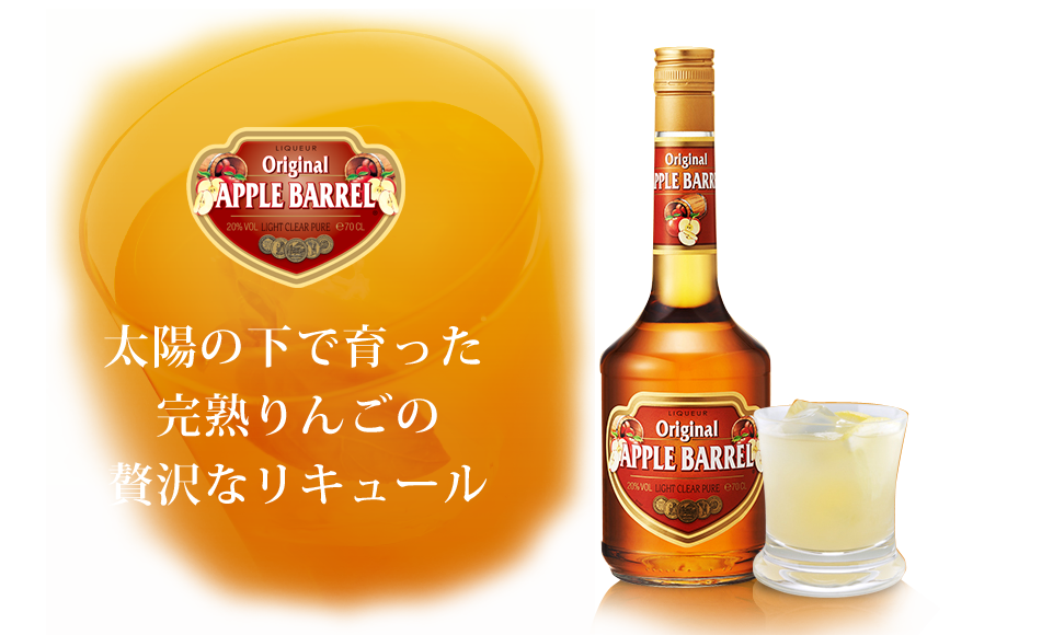 市場 デカイパー 700ml オランダ 20度 アムステルダム アップルバレル キリン