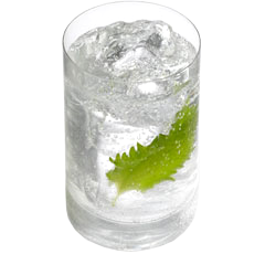 パーム オブ グリーン　Palm of green