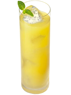 パラダイス ウォッカ　Paradise Vodka