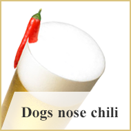 Dogs nose chili