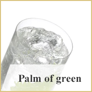 Palm of green