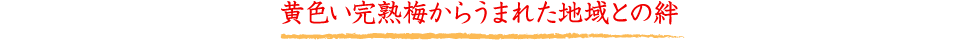 黄色い完熟梅からうまれた地域との絆