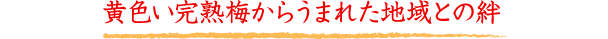 黄色い完熟梅からうまれた地域との絆