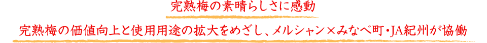 完熟梅の素晴らしさに感動　完熟梅の価値向上と使用用途の拡大をめざし、メルシャン×みなべ町・JA紀州が協働